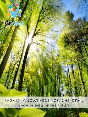 cover image of The wonders of the forest